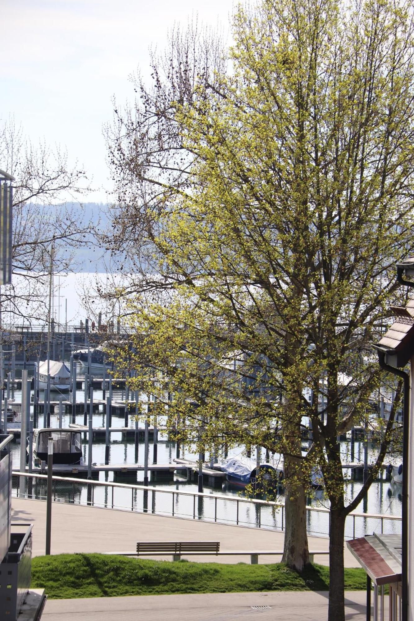 Gaestehaus Maeder Am Hafen Uhldingen-Muhlhofen Ruang foto