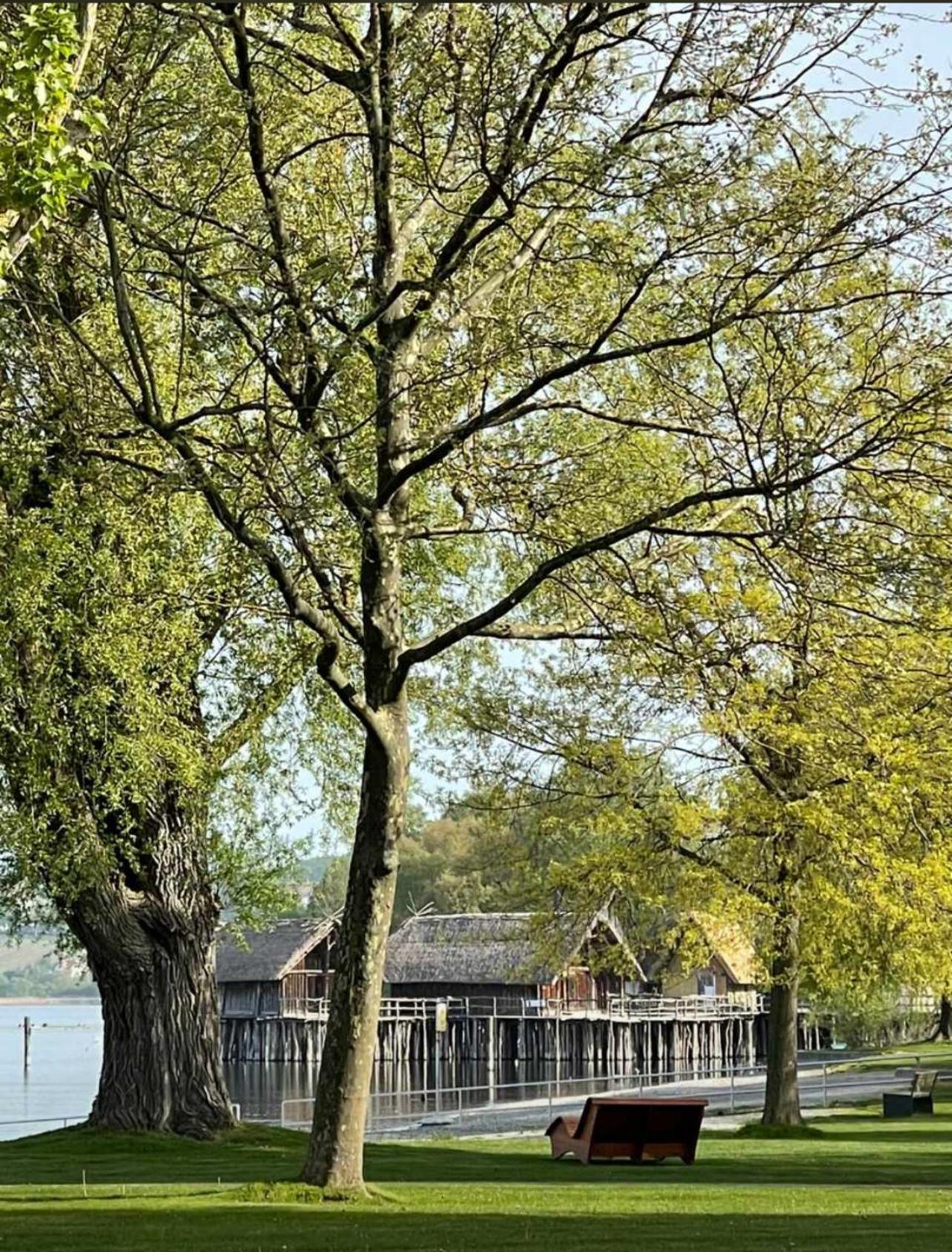 Gaestehaus Maeder Am Hafen Uhldingen-Muhlhofen Bagian luar foto